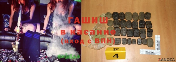 шишки Карпинск