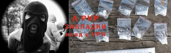 шишки Карпинск