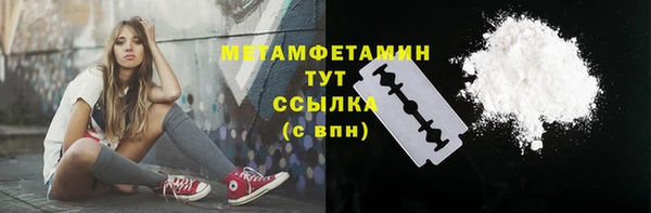 шишки Карпинск