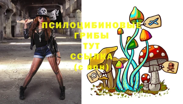 шишки Карпинск