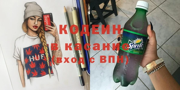 шишки Карпинск