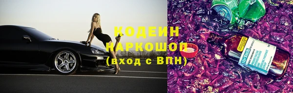 шишки Карпинск