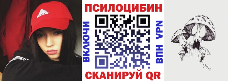 Псилоцибиновые грибы Psilocybe  Купить закладки  Норильск 